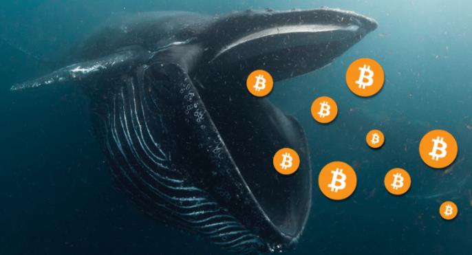 Third-largest Bitcoin whale adds another 412 BTC