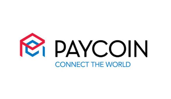 Danal Fintech Plans to Build Paycoin Into a Global Integrated Virtual Asset Platform