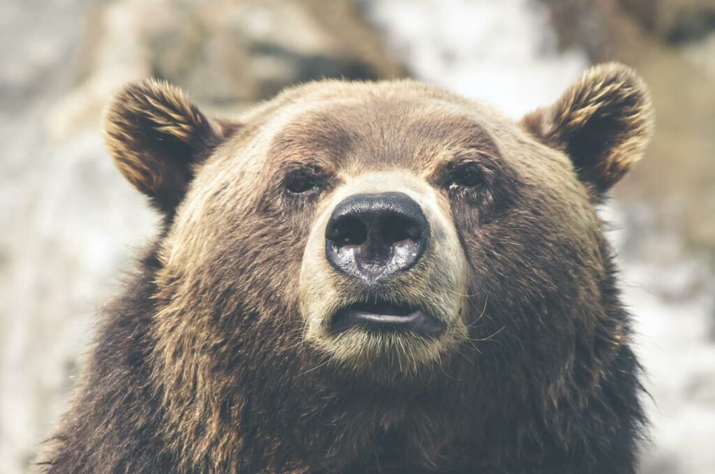 Crypto Bear Market Is an Opportunity for Web3 to Accelerate