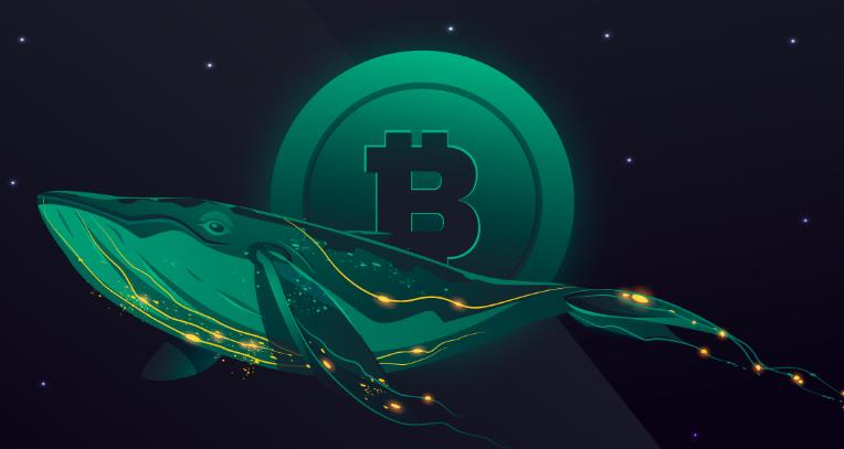 Whales Accumulate Bitcoin in the $25-32K Range