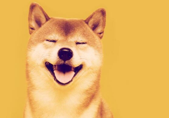 Shiba Inu Plans to Launch a Series of New Products Such as Second-Layer Network, Stable Currency, Card Game, Etc.