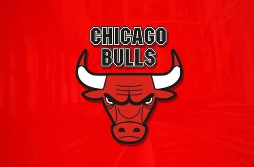 NBA Chicago Bulls Will Launch Their Iconic Logo NFT Series the Aurochs