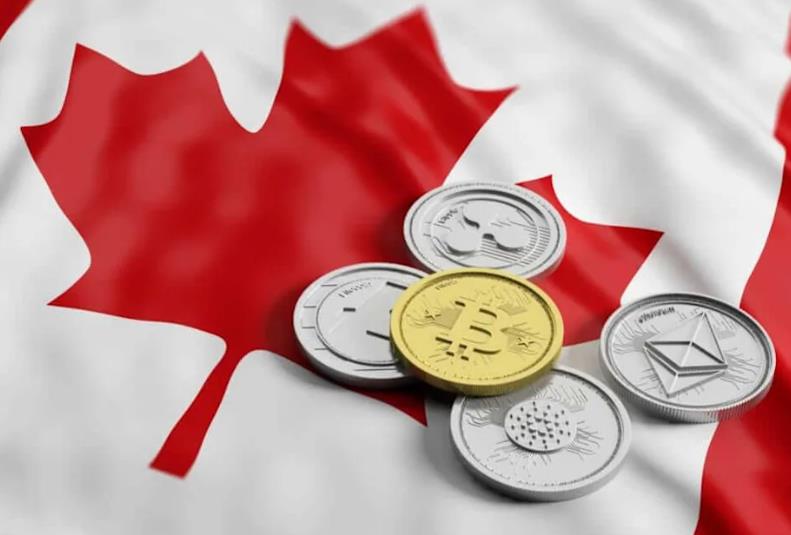 Over 30% Of Canadians Plan to Buy Cryptocurrencies in the Next Year