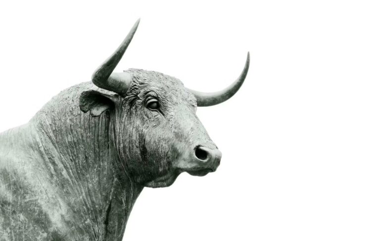Bitwise CIO: Crypto Long-Term Bull Market Begins