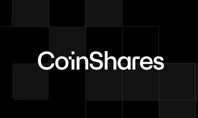 CoinShares Optimistic About US Cryptocurrency Landscape Amidst Global Regulatory Uncertainties